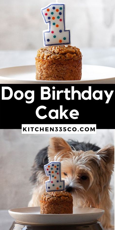 Dog Birthday Cake Simple, Dog Cake Recipe Easy, Peanut Butter Dog Cake, Easy Dog Cake, Dog Birthday Cake Easy, Birthday Dog Cake, Homemade Dog Cake, Birthday Cake For Dogs, Dog Cake Recipe