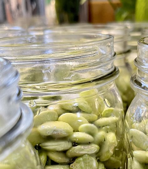 Canning Fresh Butter Beans, Canning Lima Beans, Canning Butter Beans, Lima Beans And Ham, Carrot Cake Jam, Freezing Corn, Canning Beans, Canned Vegetables, Canning Vegetables