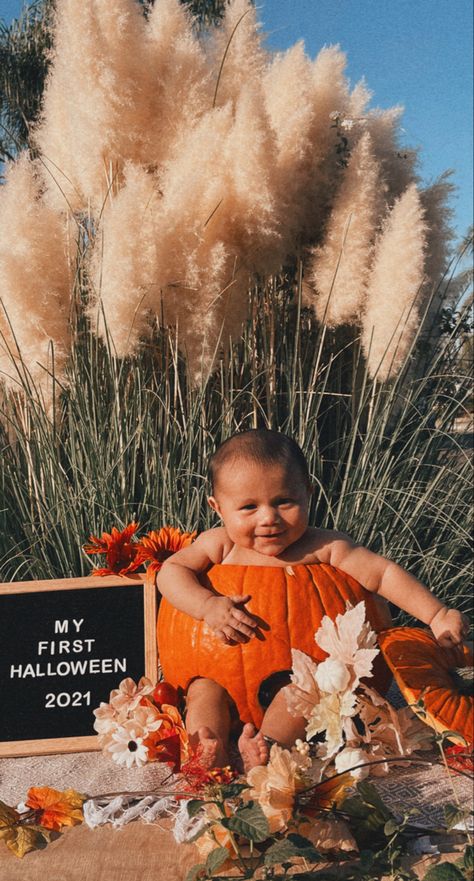 Baby in a pumpkin Halloween Pumpkin Baby Photoshoot, Pumpkin And Baby Photos, Baby In Pumkin Ideas Pictures, Baby I’m Pumpkin Pictures, Baby In A Pumpkin Photoshoot, Fall Pumpkin Baby Photoshoot, Diy Pumpkin Photo Shoot Baby, Fall Theme Milestone Pictures, Babies In Pumpkins Photography