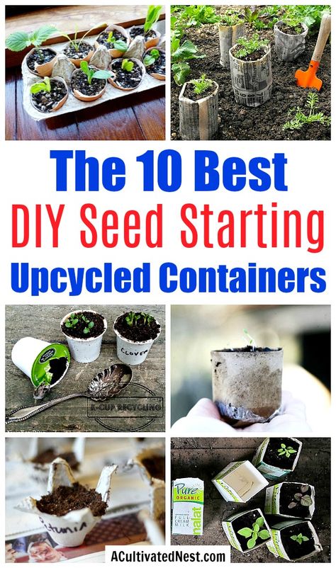 10 Creative Seed Starting Ideas- Start your seeds the frugal way with these 10 DIY upcycled seed starting containers! So many inexpensive everyday items can make great seed starters! | DIY seed starting container hacks, how to start seeds, frugal gardening, save money on gardening, gardening tips, upcycled seed starting containers, gardening hacks #gardening #gardeningtips  #seedStarting #upcycle #ACultivatedNest Seed Starting Containers, Garden Diy Decoration Ideas, Indoor Gardening Supplies, Seed Starters, Frugal Gardening, Container Garden Design, Starting Seeds Indoors, Seed Starter, Nest Design