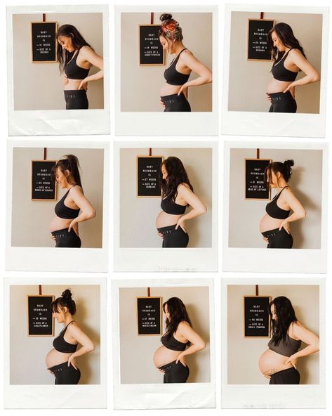 Maternity Milestone Photos, Polaroid Baby Bump Pictures, Baby Bump Polaroid Pictures, Monthly Belly Pictures Pregnancy, Monthly Baby Bump Pictures, Baby Bump Progression Photos, Baby Bump Photos Monthly, Pregnancy Photos Month By Month, Baby Bump Photos Weekly