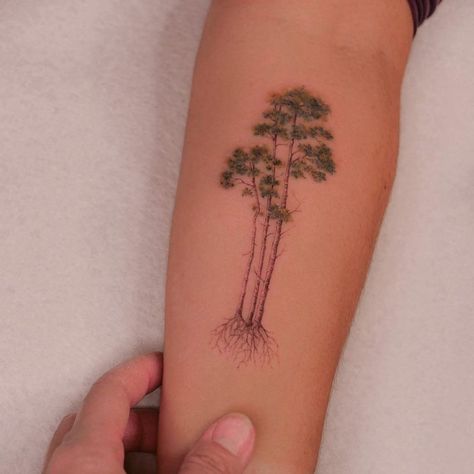 Tattoodo on Instagram: “A tiny Aspen tree by @evakrbdk at @atelier.eva #TATTOODO” Aspen Tree Tattoo, Aspen Trees Tattoo, Birch Tree Tattoos, Tree Roots Tattoo, Tree Sleeve Tattoo, Roots Tattoo, Tree Aesthetic, Aspen Tree, Tree Tattoo Designs