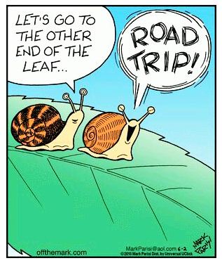 https://flic.kr/p/Z4hUgD | Road Trip! | Daily Humor Off The Mark Cartoons, Road Trip Humor, Mark Parisi, Jokes And Riddles, Funny Cartoon Quotes, Animal Jokes, Dad Jokes, Caricatures, Funny Cartoons