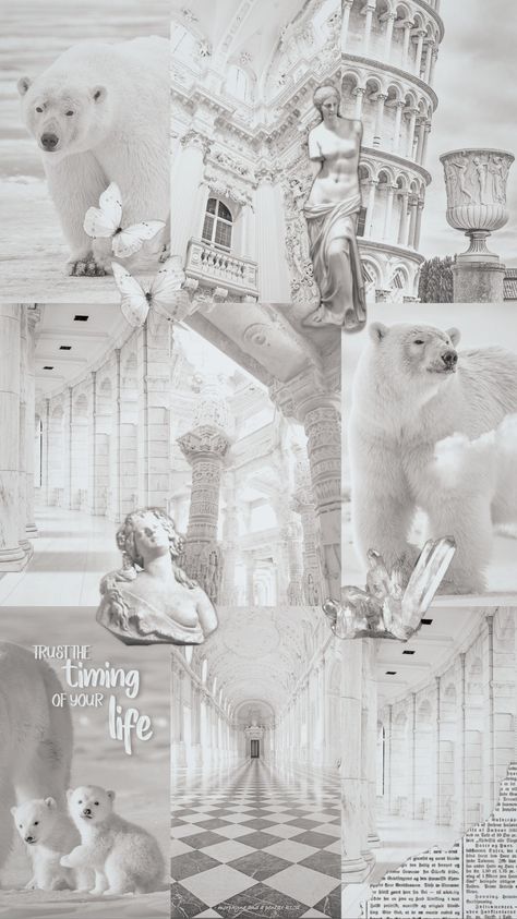 Big fuzzy white polar bears in a collage with bright white architecture, and cohesive white stickers Polar Bear Wallpaper, White Polar Bear, Bear Wallpaper, White Aesthetic, Phone Backgrounds, Polar Bear, Mood Boards, Mood Board, Phone Wallpaper