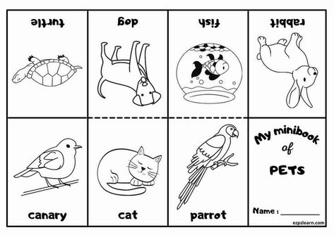 Free Printable Mini Coloring Book With Vocabulary Pets Party For Kids ESL Resource Book Pages Printable, Mini Coloring Book, Ingles Kids, Fathers Day Coloring Page, Animal Worksheets, Esl Activities, Printables Free Kids, English Activities, Printable Coloring Book