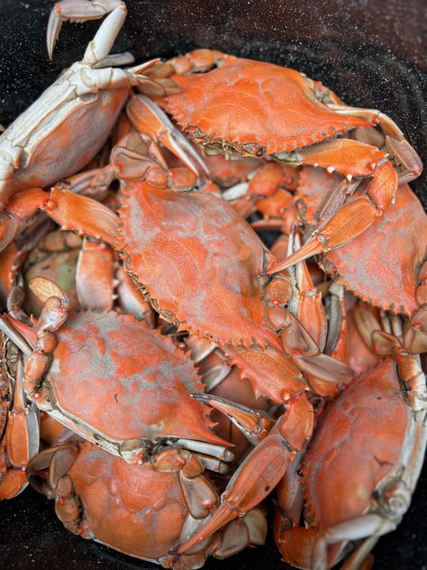 Join us for a Crab Feast on the Eastern Shore of Maryland! We have plenty of tips and tricks for you to explore. Discover the essential tools required, the best dishes to serve, and learn how to set the ideal ambiance for unwinding, enjoying a cold beer, and savoring delicious crabs. #eastonmd #easternshore #crabfeast #watermen #howtohost Crab Feast, Summer Workout Outfits, Maryland Crabs, Eastern Shore Maryland, Hosting Friends, Easy Parties, Crab Recipes, Party Tips, Old Bay