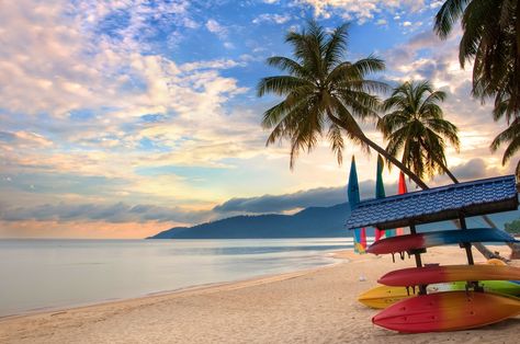 Sitting like an emerald dragon guarding the translucent waters of the South China Sea, Tioman Island offers every possible shade of paradise.... Malaysia Trip, Pulau Tioman, Malaysia Resorts, Tioman Island, Jungle Hike, Emerald Dragon, Malaysia Travel, South China Sea, South China