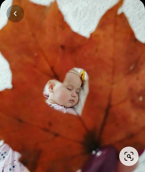 Fall Baby Photos, Fall Baby Pictures, Photo Halloween, Baby Milestones Pictures, Monthly Baby Pictures, Baby Milestone Photos, Monthly Baby Photos, Newborn Baby Photoshoot, Baby Boy Photography