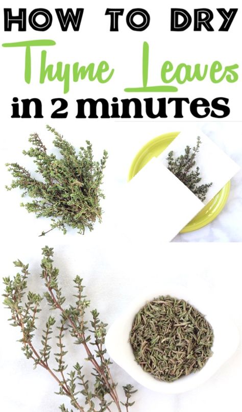 How to Dry Thyme Leaves in 2 Minutes! {Dried Herb Trick} Drying Thyme, Garlic Ribs Recipe, Honey Garlic Ribs, Preserve Fresh Herbs, Drying Fresh Herbs, Mason Jar Herbs, Thyme Plant, Mason Jar Herb Garden, Honey Garlic Pork Chops