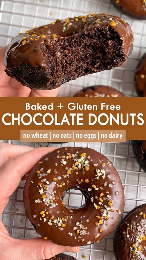 These baked chocolate donuts are soft and tender and topped with a dark chocolate glaze. They're made with grain free flour (gluten free), lightly sweetened with maple syrup and allergy friendly (no nuts, no eggs, no dairy) - a healthy donut recipe that can be enjoyed for brunch or dessert. Egg And Flour Free Desserts, Dairy Gluten Nut Free Recipes, Gluten Free Chocolate Donuts Baked, Nut Free Baked Goods, Celiac Baking Recipes, Nut Free Egg Free Dessert, Gluten Nut Dairy Free Recipes, Gluten Free Grain Free Desserts, Rice Flour Donut Recipe