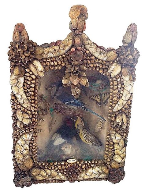 19th C. Shell Covered Bird Diorama. Bird Diorama, Vintage Shell Art, Shell Grotto, Shrines Art, Art Coquillage, Barber Pole, Sailors Valentine, Shell Mirror, Taxidermy Art