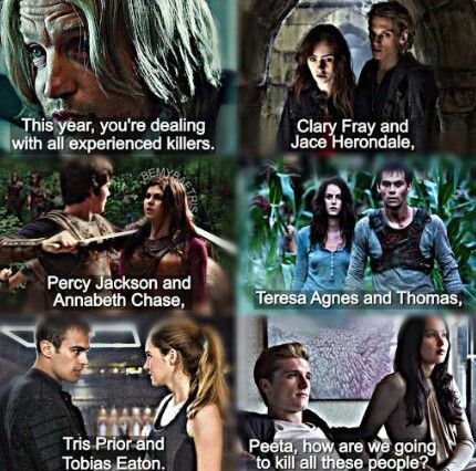 Percy Jackson Fanfiction, Peeta Katniss, Percy Annabeth, Book Fandoms Unite, Fandom Unite, Divergent Series, Fandoms Unite, Fandom Crossover, Book Tv