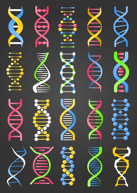 Dna Facts, Dna Tree, Dna Logo, Dna Project, Dna Art, Dna Tattoo, Dna Molecule, Dna Design, Dna Model