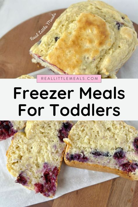 We get it – life with toddlers can be a whirlwind, and finding time to prepare healthy meals can be a challenge. That’s why we're here to share 15 freezer meal ideas that are not only perfect for picky eaters but also a great way to ensure your little one is getting the nutrition they need. These easy recipes will keep your whole family happy and well-fed while saving you time and effort.  Click here to get these freezer-friendly toddler meal ideas. Toddler Freezer Meals, Meals For Toddlers, Freezer Meal Ideas, Easy Toddler Lunches, Meatball Pasta Bake, Toddler Meal Ideas, Toddler Smoothies, Freezer Smoothies, Pre Made Meals