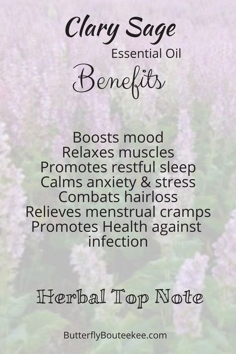 Sage Oil Benefits, Clary Sage Essential Oil Benefits, Sage Essential Oil Benefits, Sage Spiritual, Essential Oil Diffuser Blends Recipes, Clary Sage Essential Oil, Energy Yoga, Essential Oils Health, Sage Essential Oil