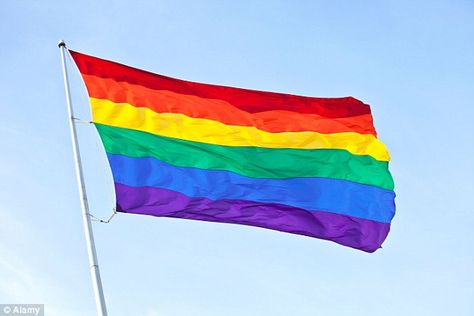 Half-mast: The unnamed doctor was arrested by Saudi religious police within hours of flying the rainbow LGBT pride flag outside his home in Jeddah Florida High School, Harvey Milk, Rainbow Flag Pride, Lgbt Flag, Rainbow Flag, Swan Lake, Pride Flag, Rainbow Pride, Pride Flags