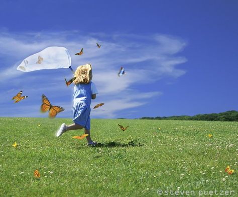 Catching Butterflies. Catching Butterflies, Somebunny Loves You, Go Fly A Kite, Butterfly Net, Easter Lily, British Summer, Butterfly Shirts, Pretty Images, Nature Play