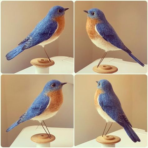 Jo Gardiner on Instagram: "Something a little different from me this week - an Eastern Blue Bird 💙 #easternbluebird" Felted Blue Bird, Needle Felted Blue Bird, Purple Martin, Eastern Bluebird, Felt Birds, Needle Felted Animals, Felt Animals, Pin Cushions, Blue Bird