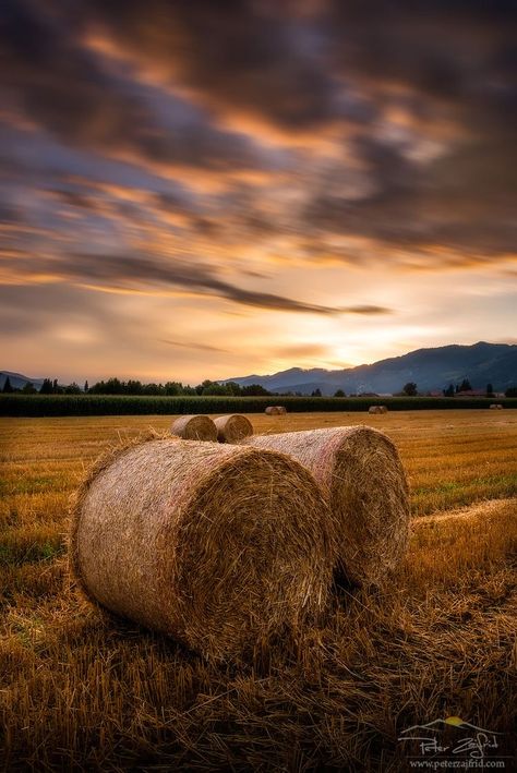 Hay Farm, Country Images, Farm Photography, Farm Lifestyle, Fields Of Gold, Photographie Portrait Inspiration, Farm Art, Hay Bales, Farm Scene