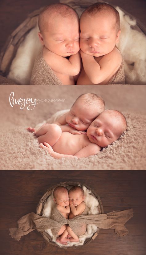 Twin Newborn Boy Photos | Oregon | LiveJoy Photography Newborn Twin Photos, Twin Baby Photography, Twin Baby Photos, Twins Posing, Twin Newborn, Twin Pictures, Newborn Photos Boy, Twin Photography, Foto Newborn