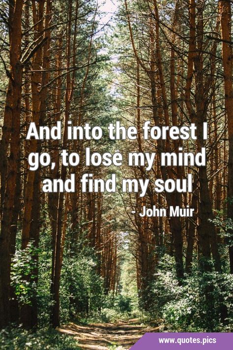 Into The Forest I Go To Lose My Mind, My Soul Quotes, Forest Quotes, Into The Forest I Go, Soul Care, Dream Cabin, Fall Stuff, Into The Forest, Soul Quotes