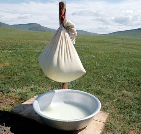 Mongolia Food, Quartz Background, Mongolian Food, Mongolian Culture, Milk Aesthetic, Meat Products, Milk Products, Ghost Of Tsushima, Morning Food