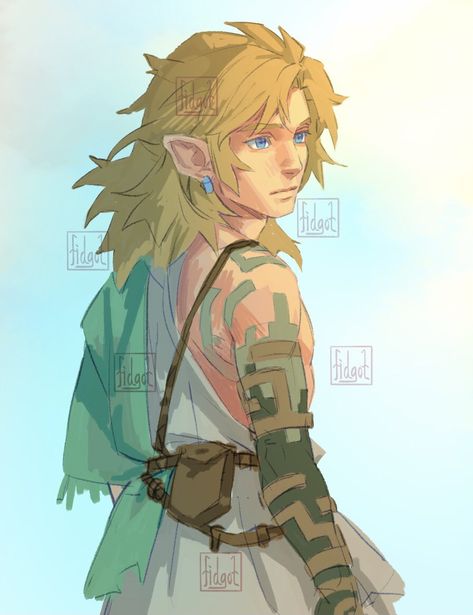 Link Hairstyle Zelda, Botw 2 Link, Link Hairstyle, Botw 2, Link Botw, Botw Zelda, Link Art, Hyrule Warriors, Celtic Mythology