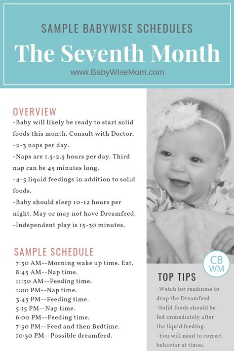 This post gives sample schedule Babywise schedules for the seventh month. The seventh month of baby’s life comprises weeks 27-30. Baby is six months old. These are Babywise 6 Month Old Sample Schedules. Babywise 6 Month Schedule, Babywise Schedule, 7th Month, Baby Wise, Schedule Ideas, Baby Routine, Sleeping Well, Baby Schedule, Baby Sleep Schedule