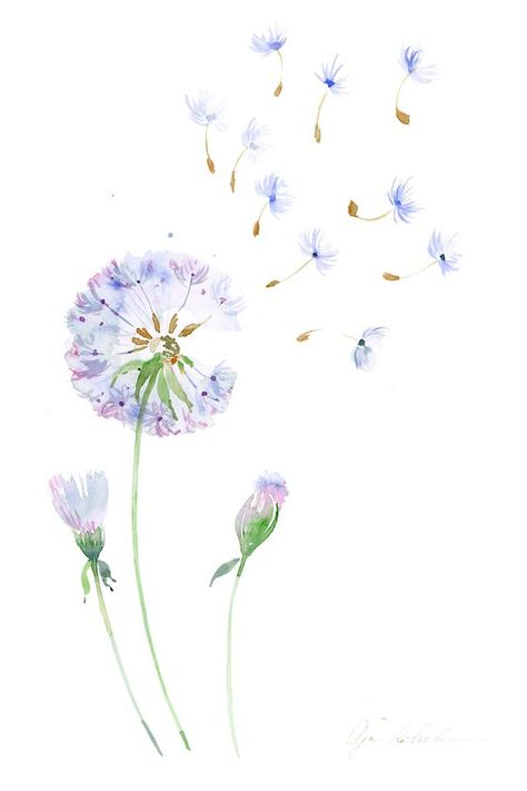 Danlion Flower Drawing, Dandelion Drawing Watercolor, Dandelion Watercolor Painting, Pretty Flowers Drawing, Dandelion Art Painting, Dandelions Painting, Watercolor Dandelion Tattoo, Pretty Flower Drawing, Painted Dandelion