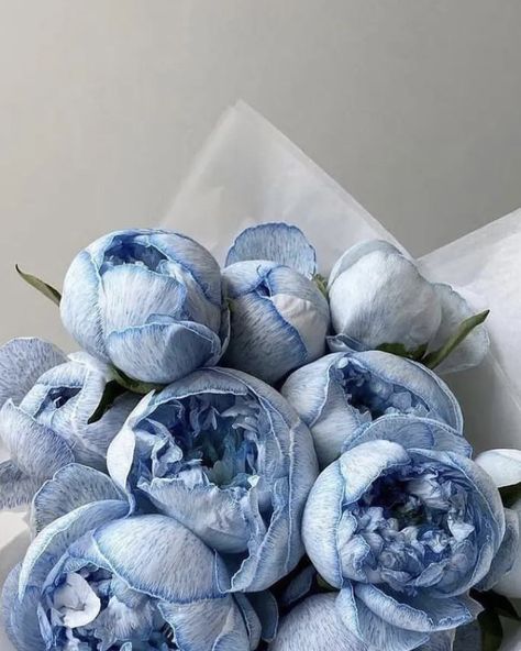 Fancy Flowers, Blue Peonies, Boquette Flowers, Nothing But Flowers, Flower Therapy, Beautiful Bouquet Of Flowers, Luxury Flowers, Beautiful Bouquet, Blue Aesthetic