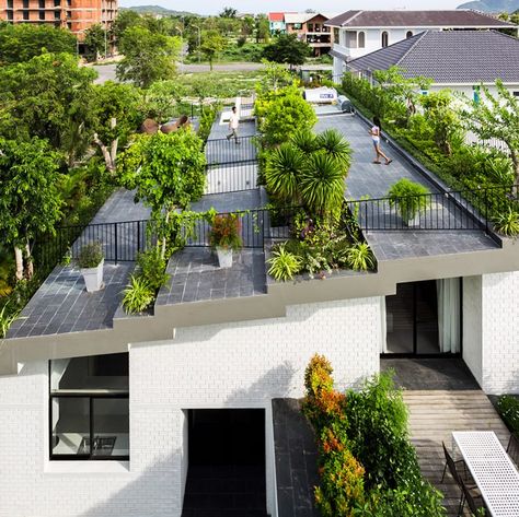 Love the green roof.  Adding efficient ceiling heating inside would make this home a truly 21st century dwelling. Vo Trong Nghia, Rooftop Design, Pergola Design, Green Architecture, Terrace Design, Rooftop Garden, Pergola Designs, House Roof, Roof Garden