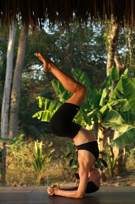 Unleash your inner strength and embark on a Forearm Stand adventure! In this post, I'll explore the unique demands of Pincha Mayurasana and how it can boost your practice. Enhance your shoulder stability, embrace the learning process, and get a sneak peek of my Practice Your Pincha series. Don't miss the chance to up-level your inversions! #ForearmStandTips #YogaMastery #PinchaMayurasanaJourney Backbend Yoga Poses, Backbend Yoga, Dolphin Pose, All Yoga Poses, Yoga Backbend, Forearm Stand, Puppy Pose, Yoga Poses Advanced, Camel Pose