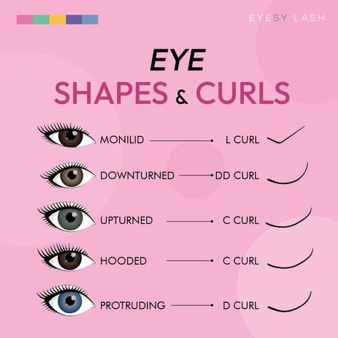 Aesthetician Tips, Eye Shape Chart, Lash Education, Natural Looking Eyelash Extensions, Eyelashes Quotes, Eyelash Studio, Lash Extentions, Eyelash Extension Training, Shape Chart