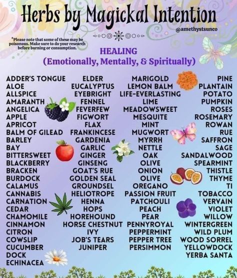 Herbs For Happiness, Herbal Correspondences, Herb Correspondences Witchcraft, Herb Spiritual Properties, Plant Correspondences Witchcraft, Magical Correspondences Herbs, Rosemary Magical Correspondence, Goats Rue, Herbal Medicine Recipes