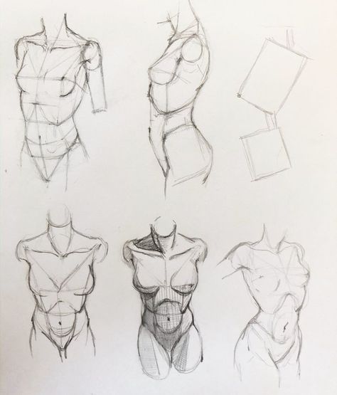 Anatomy Study Art Female, Torso Anatomy Reference Female, Women’s Anatomy Drawing, Torso Sketch Female, Female Anatomy Drawing Guide, Female Anatomy Drawing Study, Realistic Body Sketch, Female Anatomy Drawing Sketches, Female Anatomy Sketch