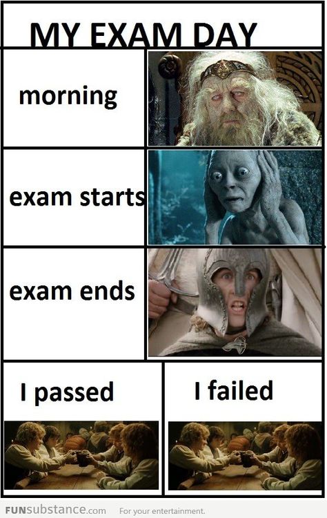 BHAHAHAHA--- On exam days @Ashley Walters Walters Ruiz @Jenny Gonzalez @Gricelda Fuller Fuller Lopez @D Fantauzzi-Garcia Exams Memes, College Finals, Exam Week, Glume Harry Potter, Exam Day, 9gag Funny, School Memes, 웃긴 사진, Memes Humor