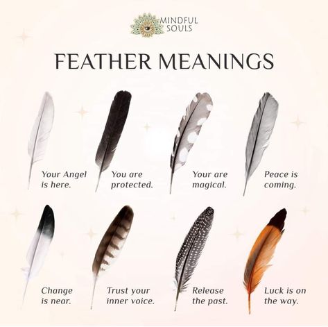 Native American Feathers Meaning, Feathers In Witchcraft, Feather Identification, Finding Feathers, Feather Symbolism, Astrology Dates, Feather Meaning, Zen Mind, In Loving Memory Quotes