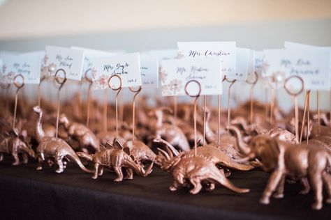 Dinosaur Wedding Theme, Jurassic Wedding, Place Card Holders Diy, Dinosaur Wedding, Zoo Wedding, Future Wedding Plans, Museum Wedding, Rustic Chic Wedding, Park Weddings