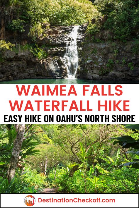 Discover the beauty of the Waimea Falls waterfall hike in Oahu. This guide covers the lush botanical garden walk, rich history of Waimea Valley, and the refreshing swim at the falls. Learn how to visit Waimea Valley and Falls, tips for the trail, and what to expect. Perfect for nature lovers, this hike offers a blend of scenic beauty and cultural heritage. Explore the flora, enjoy a leisurely walk, and dive into the cool waters of Waimea Falls. Waimea Falls Oahu, Oahu Botanical Gardens, Waimea Falls, Hawaii Vacation Tips, Waimea Valley, Oahu Hikes, Waterfall Hike, Oahu Vacation, Waimea Bay