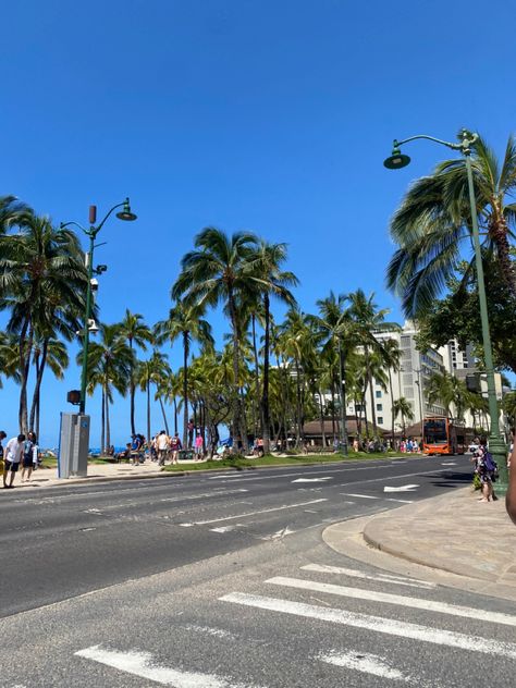 #hawaii #waikiki #honolulu #nature Oahu Aesthetic, Oahu Hawaii Aesthetic, Hawaii Waikiki, Hawaii Aesthetic, Oahu Hawaii, Honolulu, Oahu, Hawaii, Quick Saves