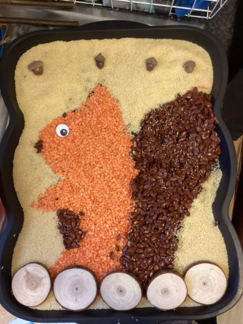 Autumn Animal Activities For Preschool, Autumn Sensory Tray, Autumn Messy Play, Autumn Tuff Tray, Sensory Tray, Autumn Adventures, Sensory Games, Autumn Animals, Tuff Tray