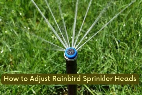 When it comes to maintaining a green lush and healthy lawn, proper irrigation is key. One of the most popular sprinkler heads on the market is the Rainbird 5000. However, to ensure optimal performance, it’s important to know how to adjust rainbird sprinkler heads in correct way. Adjusting Rainbird 5000 Sprinkler Head To achieve efficient … Winterize Sprinkler System, Automatic Irrigation System, Lawn Irrigation, Vibrant Landscape, Garden Sprinklers, Sprinkler Heads, Healthy Lawn, Water Efficiency, Water Usage