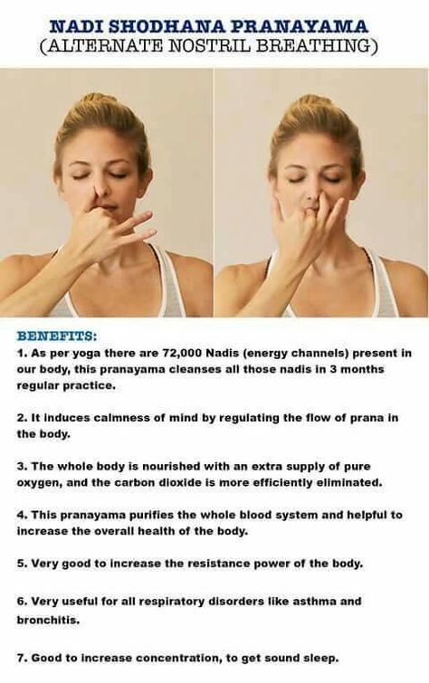 Alternate nostril breathing Daily Mudras, Nostril Breathing, Yoga Breathing Techniques, Hata Yoga, Yoga Mudras, Pranayama Breathing, Pranayama Yoga, Alternate Nostril Breathing, Yoga Breathing