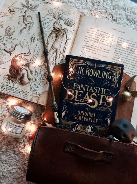 30+ Instagram Photo Ideas to Get More Likes Harry Potter Book, Film Netflix, Hogwarts Aesthetic, Golden Trio, Fantastic Beasts And Where, Albus Dumbledore, Harry Potter Wallpaper, Harry Potter Love, Harry Potter Aesthetic