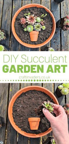 Colourful succulents already look like mini works of art. Here we show you how to plant a succulent pot to make your own piece of garden art. #succulents #succulentgarden #succulentarrangement #succulent display How To Make A Succulent Bowl, Succulent Arrangements Indoor, Succulents Crafts, Colourful Succulents, Succulent Crafts, Diy Succulent Garden, Diy Succulent Planter, Succulent Party, Art Arrangement