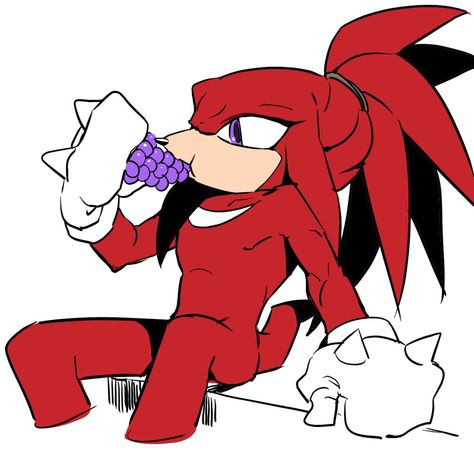 Sonic Icon, Knuckles The Echidna, Sonic & Knuckles, Game Sonic, Rouge The Bat, Sonic Characters, Sonic Fan Characters, Sonic Franchise, Sonic 3