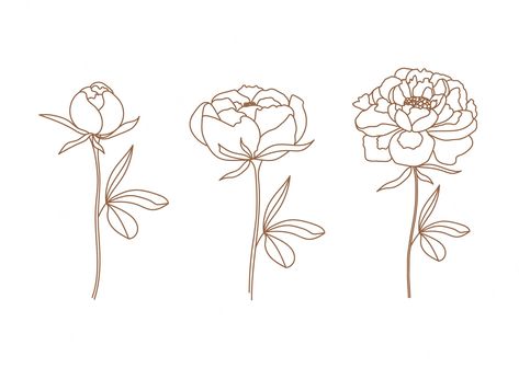 Peony Drawing, Peonies Tattoo, Line Art Tattoos, Peony Flower, Adobe Stock, Flower Tattoo, Peonies, Art Tattoo, Line Art