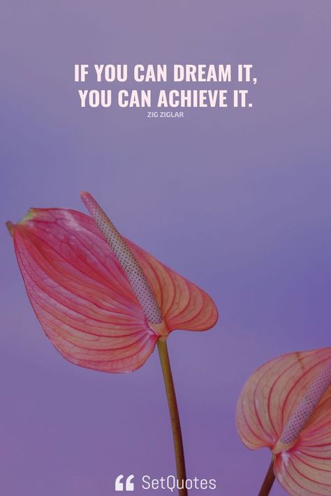 If you can dream it, you can achieve it. – Zig Ziglar Charts For Classroom, Zig Ziglar, Motivational Poster, Dream It, Motivational Posters, The Meaning, Great Quotes, Best Quotes, Canning