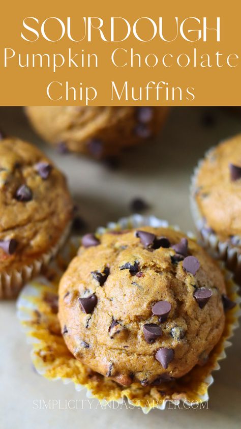 Sourdough Pumpkin Muffins, Chocolate Chip Muffins Recipe, Sourdough Pumpkin, Sourdough Muffins, Recipe Using Sourdough Starter, Discard Recipe, Sourdough Starter Discard Recipe, Discard Recipes, Pumpkin Chocolate Chip Muffins