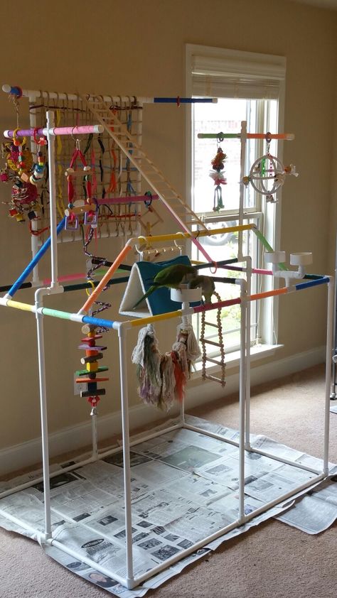 Bird Play Gym, Homemade Bird Toys, Parrot Play Stand, Diy Parrot Toys, Diy Bird Cage, Diy Bird Toys, Parrot Stand, Play Place, Parrot Perch